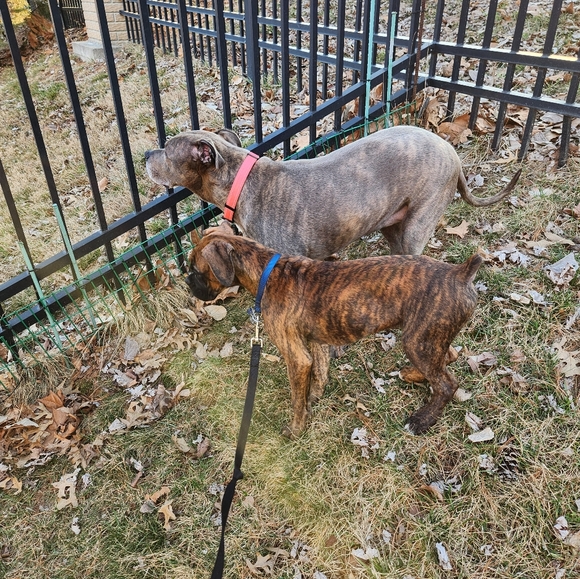 Come join me for a live show. 💜❤️. Come join the fun. - Picture 7 of 16